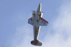 beech-2