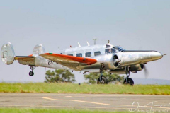 beech-3