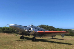 beech-4